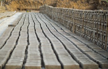 AMRITSAR, PUNJAB, INDIA - 21 Nisan 2017: tuğlalar Hindistan 'daki bir tuğla üretim tesisinde kurutulmak üzere dizildi