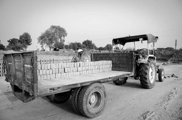 AMRITSAR, PUNJAB, INDIA - 21 HAZİRAN 2017: Bir işçi tarafından kamyona yüklenen tuğlaların tek renkli resmi toptan piyasaya gönderilmeye hazır