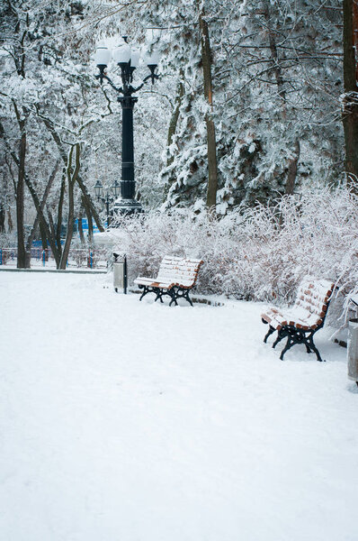Winter city landscape. A lot of snow on the trees and benches