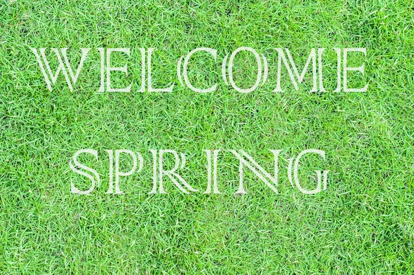 Hoşgeldiniz bahar damgası bir arka planda yeşil çimen — Stok fotoğraf