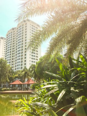 Asya tropik park manzaralı yeni yüksek binalar. Güneş ışığı ile şehir manzarası