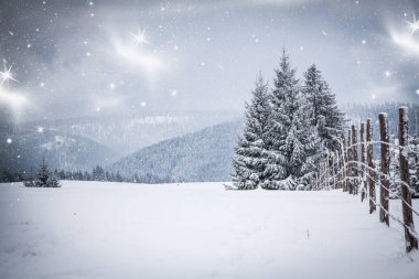 Karlı kış manzarasının Noel arkaplanı kar veya köknar ağaçlarıyla kaplı - kış büyülü bayramı