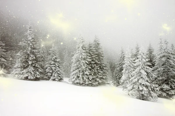 白雪覆盖冷杉的冬季雪景的圣诞背景-冬季魔法假日 — 图库照片