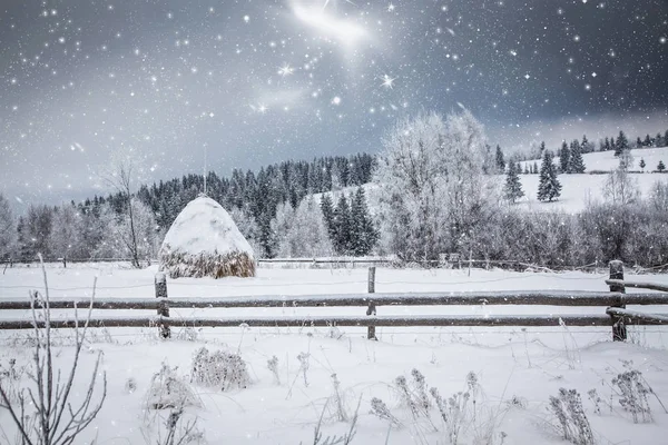 Bożonarodzeniowe tło śnieżnego zimowego krajobrazu ze śniegiem lub mrozem pokrytymi jodłami - zimowe magiczne wakacje — Zdjęcie stockowe