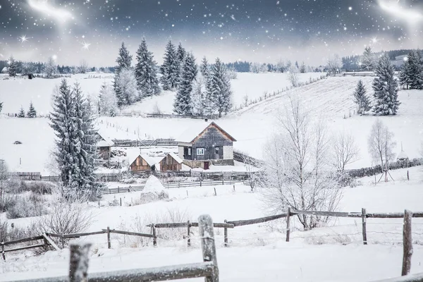 Bożonarodzeniowe tło śnieżnego zimowego krajobrazu ze śniegiem lub mrozem pokrytymi jodłami - zimowe magiczne wakacje — Zdjęcie stockowe
