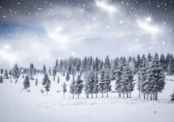 Christmas background of snowy winter landscape with snow or hoarfrost covered fir trees - winter magic holiday — Stock Photo, Image