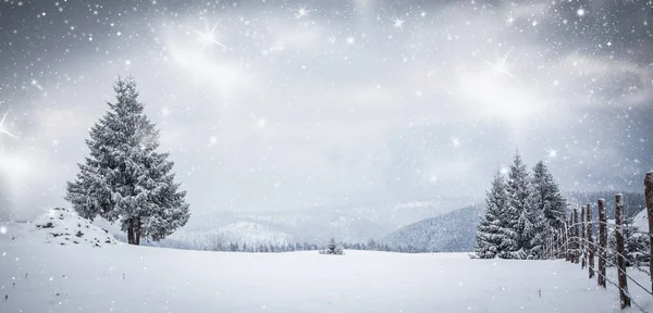 Fondo navideño de paisaje nevado de invierno con abetos cubiertos de nieve o heladas - vacaciones mágicas de invierno —  Fotos de Stock