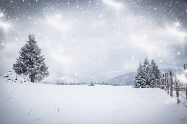Karlı kış manzarasının Noel arkaplanı kar veya köknar ağaçlarıyla kaplı - kış büyülü bayramı