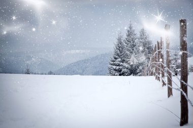 Karlı kış manzarasının Noel arkaplanı kar veya köknar ağaçlarıyla kaplı - kış büyülü bayramı