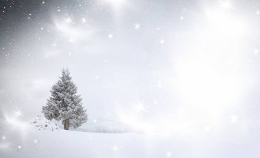 Karlı kış manzarasının Noel arkaplanı kar veya köknar ağaçlarıyla kaplı - kış büyülü bayramı