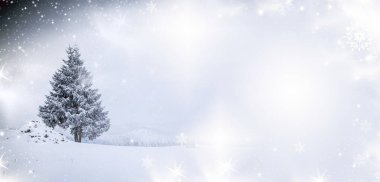 Karlı kış manzarasının Noel arkaplanı kar veya köknar ağaçlarıyla kaplı - kış büyülü bayramı