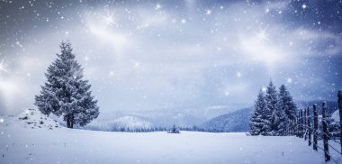 Karlı kış manzarasının Noel arkaplanı kar veya köknar ağaçlarıyla kaplı - kış büyülü bayramı