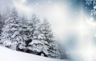 Karlı kış manzarasının Noel arkaplanı kar veya köknar ağaçlarıyla kaplı - kış büyülü bayramı