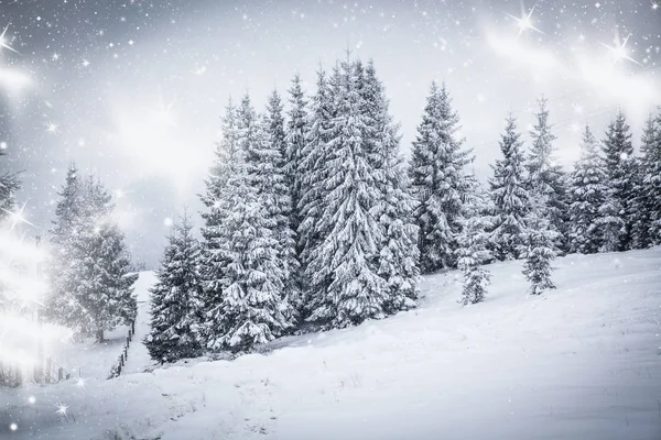 白雪覆盖冷杉的冬季雪景的圣诞背景-冬季魔法假日 — 图库照片