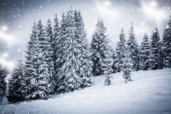 Sfondo natalizio del paesaggio invernale innevato con neve o abeti ricoperti di gelo - vacanza magica invernale — Foto Stock