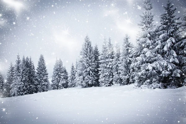 Рождественский фон снежного зимнего пейзажа со снежными или хриплыми елками - зимний волшебный праздник — стоковое фото