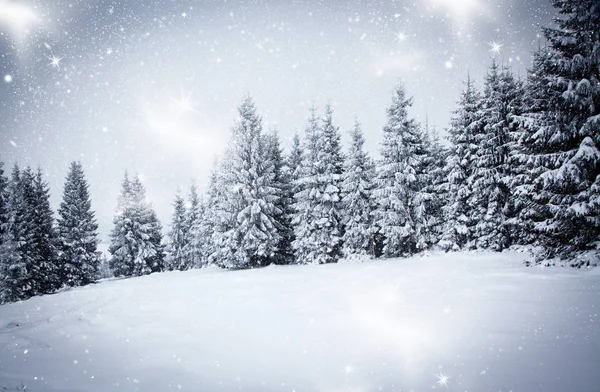 Sfondo natalizio del paesaggio invernale innevato con neve o abeti ricoperti di gelo - vacanza magica invernale — Foto Stock