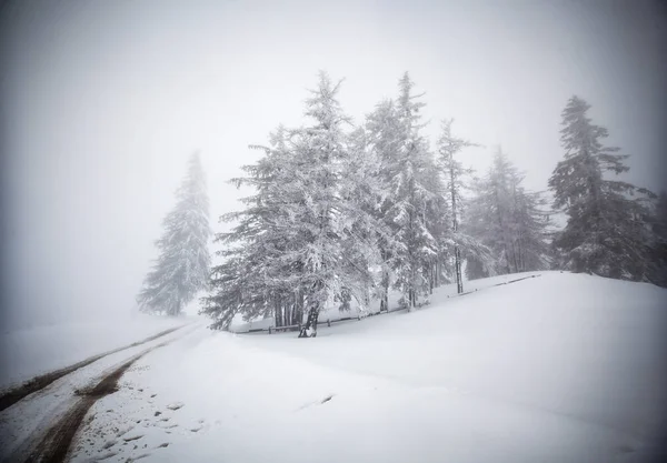 Fondo navideño de paisaje nevado de invierno con abetos cubiertos de nieve o heladas - vacaciones mágicas de invierno —  Fotos de Stock