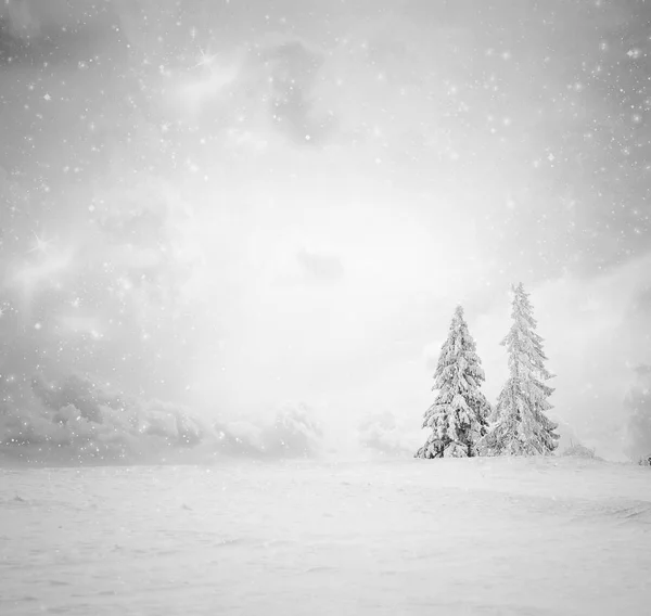 Christmas background of snowy winter landscape with snow or hoarfrost covered fir trees - winter magic holiday — Stock Photo, Image