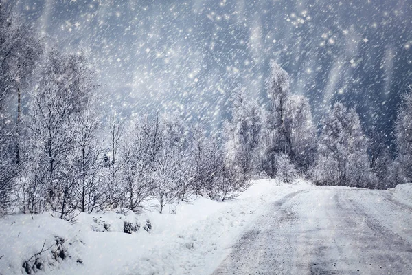 Sfondo natalizio del paesaggio invernale innevato con neve o abeti ricoperti di gelo - vacanza magica invernale — Foto Stock
