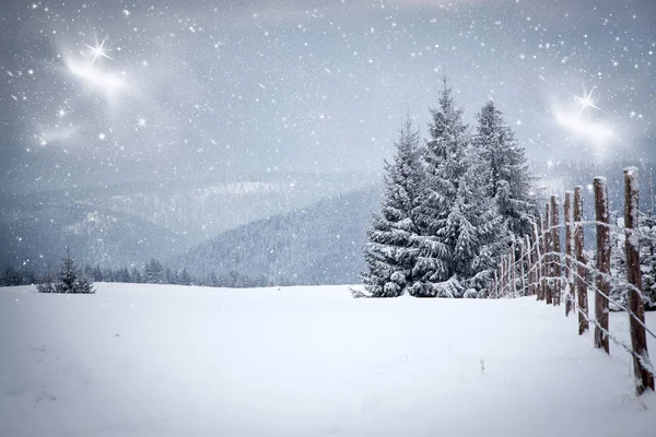 Vánoční pozadí zasněžené zimní krajiny se sněhem nebo chocholem pokryté jedle - zimní kouzelná dovolená — Stock fotografie
