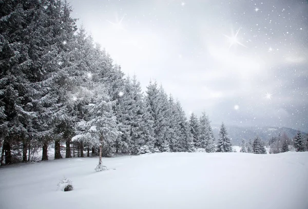 Fondo navideño de paisaje nevado de invierno con abetos cubiertos de nieve o heladas - vacaciones mágicas de invierno —  Fotos de Stock