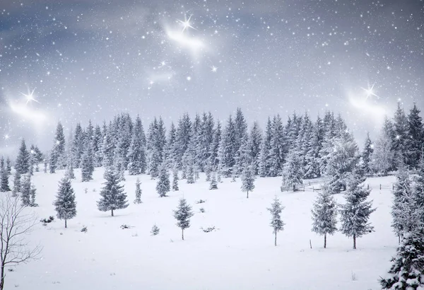 Christmas background of snowy winter landscape with snow or hoarfrost covered fir trees - winter magic holiday — Stock Photo, Image