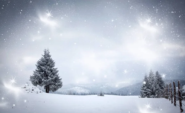 Fondo navideño de paisaje nevado de invierno con abetos cubiertos de nieve o heladas - vacaciones mágicas de invierno —  Fotos de Stock