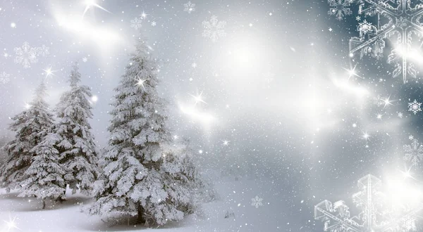 Karlı kış manzarasının Noel arkaplanı kar veya köknar ağaçlarıyla kaplı - kış büyülü bayramı