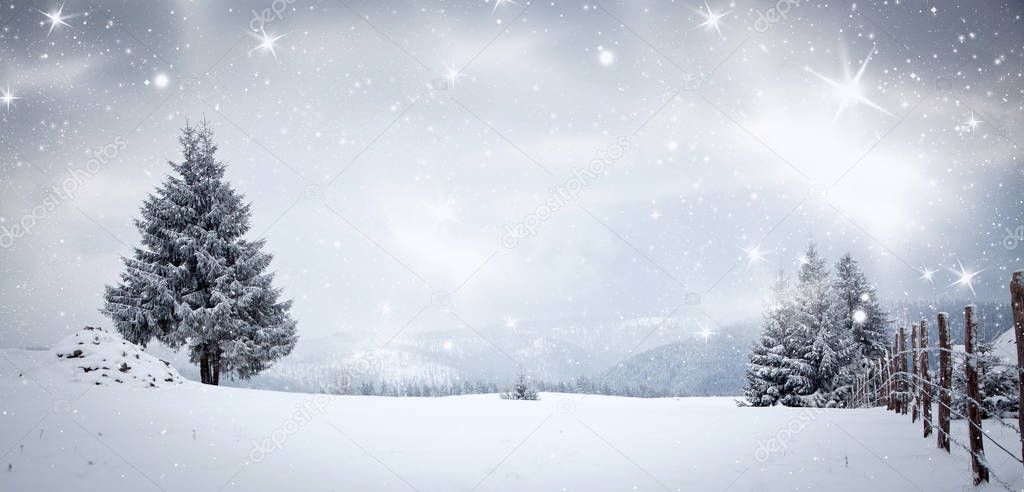 christmas background of snowy winter landscape with snow or hoarfrost covered fir trees - winter magic holiday