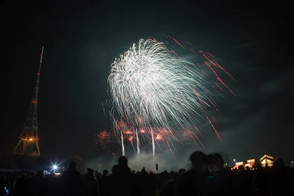 Crowd watching fireworks at New Year — Stock Photo, Image