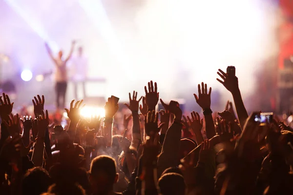 Multitud en concierto - festival de música de verano —  Fotos de Stock