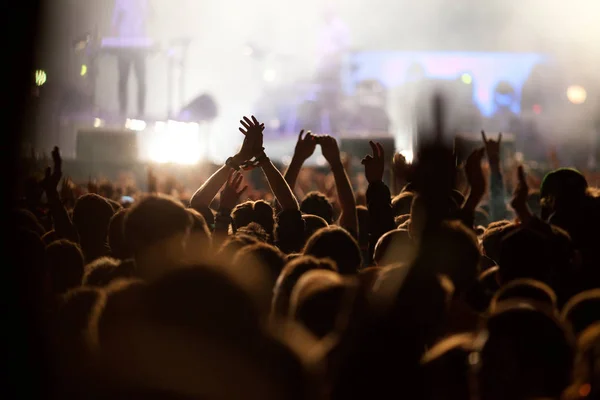 Crowd at concert - summer music festival — Stock Photo, Image