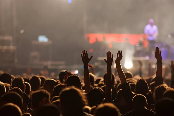 Πλήθος στη συναυλία - καλοκαιρινό φεστιβάλ μουσικής — Φωτογραφία Αρχείου