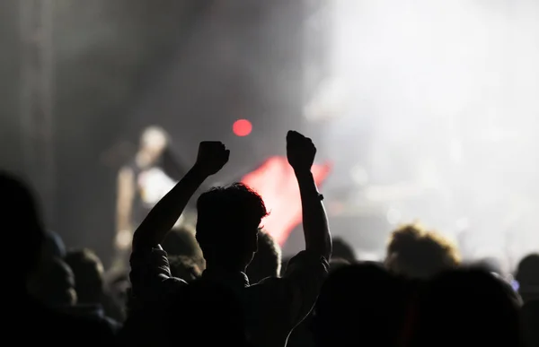 Multidão no concerto - festival de música de verão — Fotografia de Stock