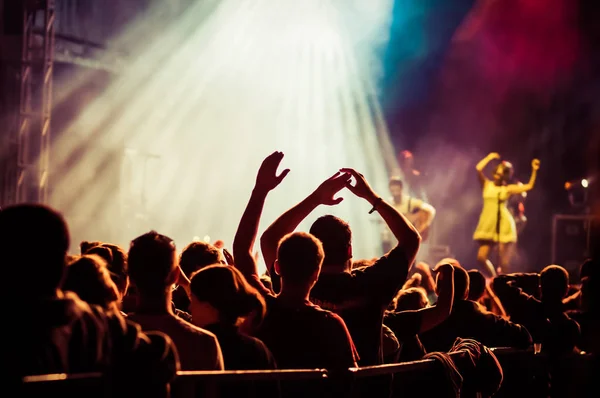 Crowd at concert - summer music festival — Stock Photo, Image