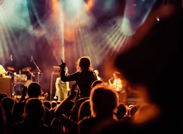 Folla al concerto - festival di musica estiva — Foto Stock