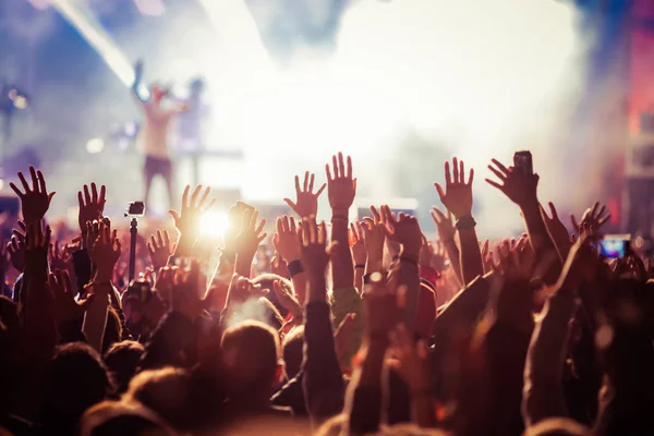 Crowd at concert - summer music festival — Stock Photo, Image