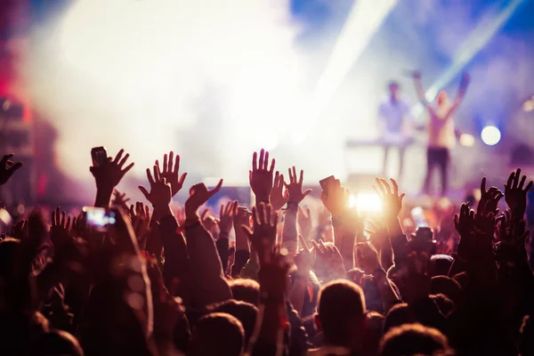 Crowd at concert - summer music festival — Stock Photo, Image