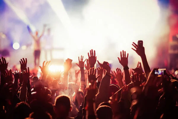 Crowd at concert - summer music festival — Stock Photo, Image