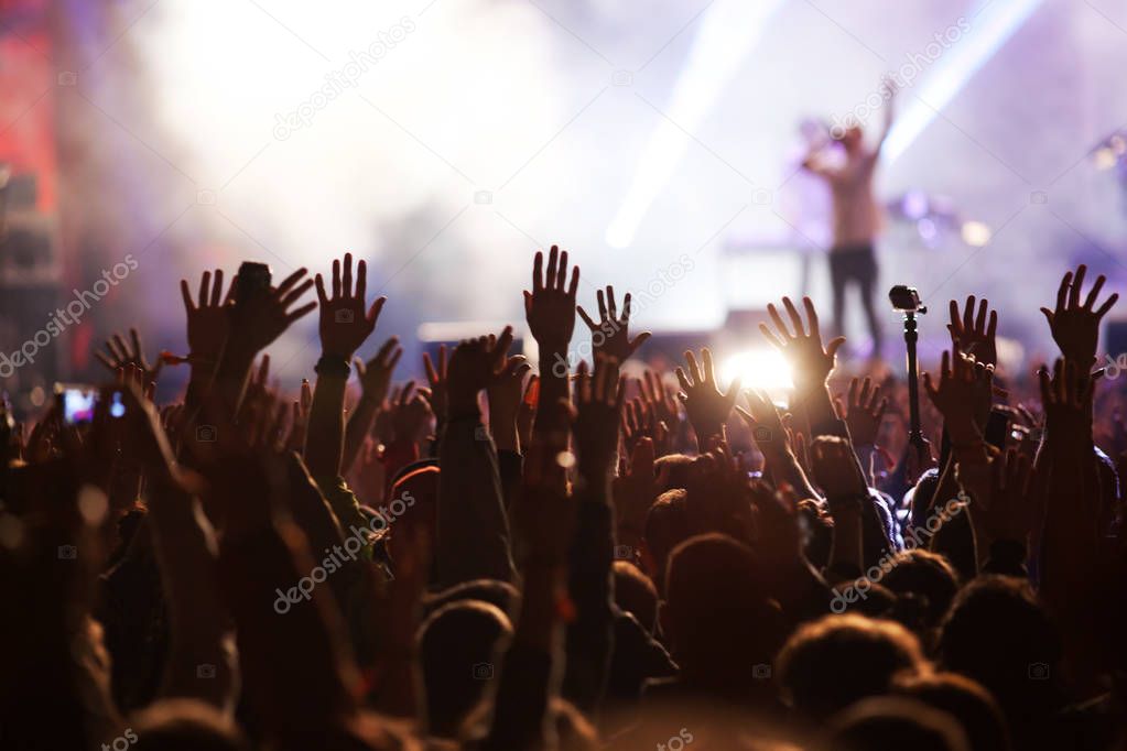 crowd at concert - summer music festival