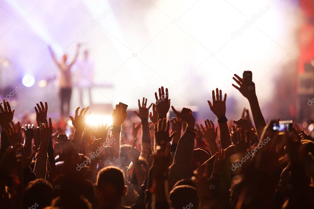 crowd at concert - summer music festival