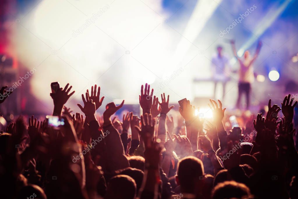 crowd at concert - summer music festival