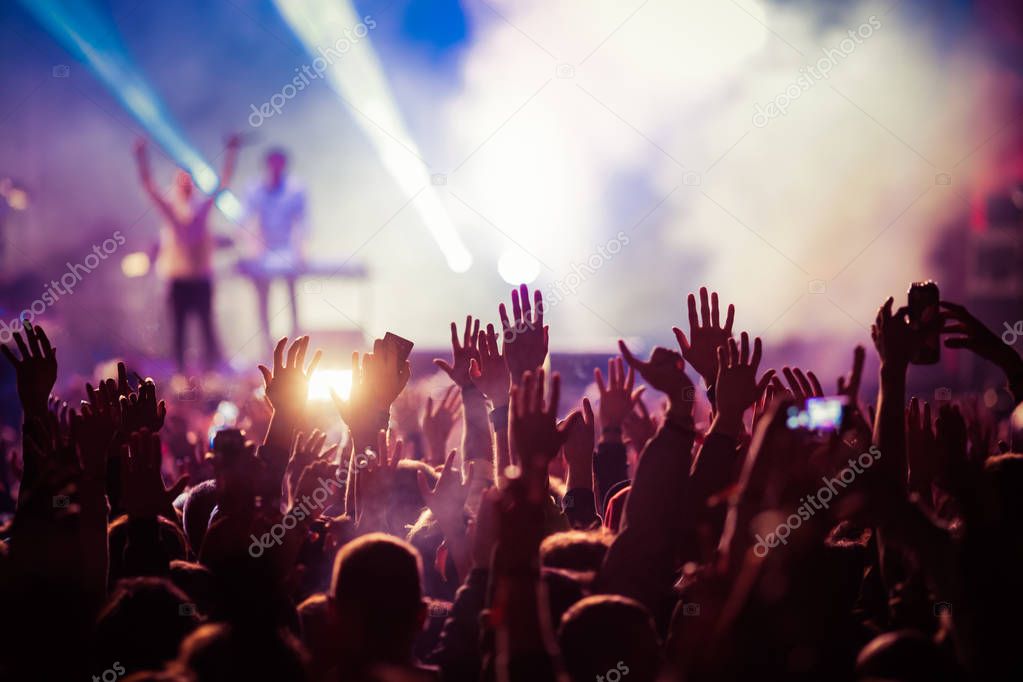 crowd at concert - summer music festival