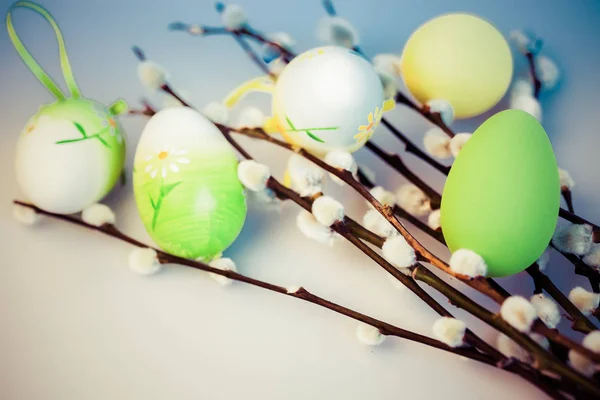 Easter background with pussy-willow and colored eggs - copy spac — Stock Photo, Image