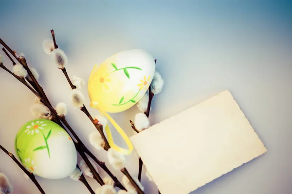 Великодній фон з кицька-воля і кольоровими яйцями копіювати пробіл — стокове фото