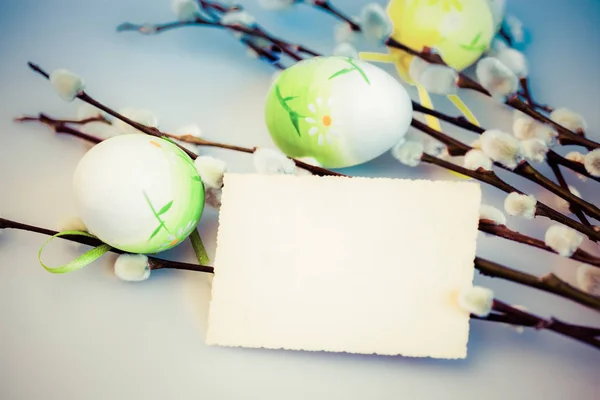Osterhintergrund mit Muschi-Weide und gefärbten Eiern - copy spac — Stockfoto