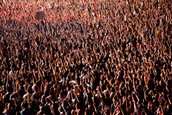 Publikum på konsert - sommermusikkfestival – stockfoto