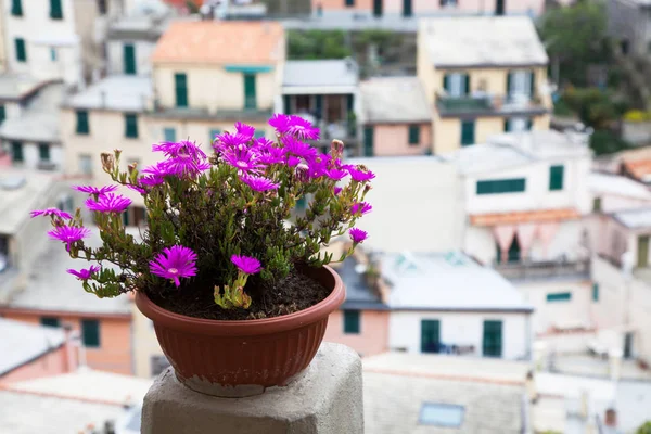 Picturesque town of Riomaggiore in Cinque Terre National park, Liguria region, Italy — Stock Photo, Image