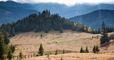 Romanya 'nın Calimani dağlarında yürüyüş